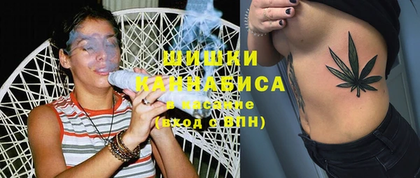 ПСИЛОЦИБИНОВЫЕ ГРИБЫ Алзамай