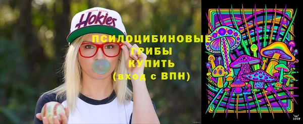 ПСИЛОЦИБИНОВЫЕ ГРИБЫ Алзамай